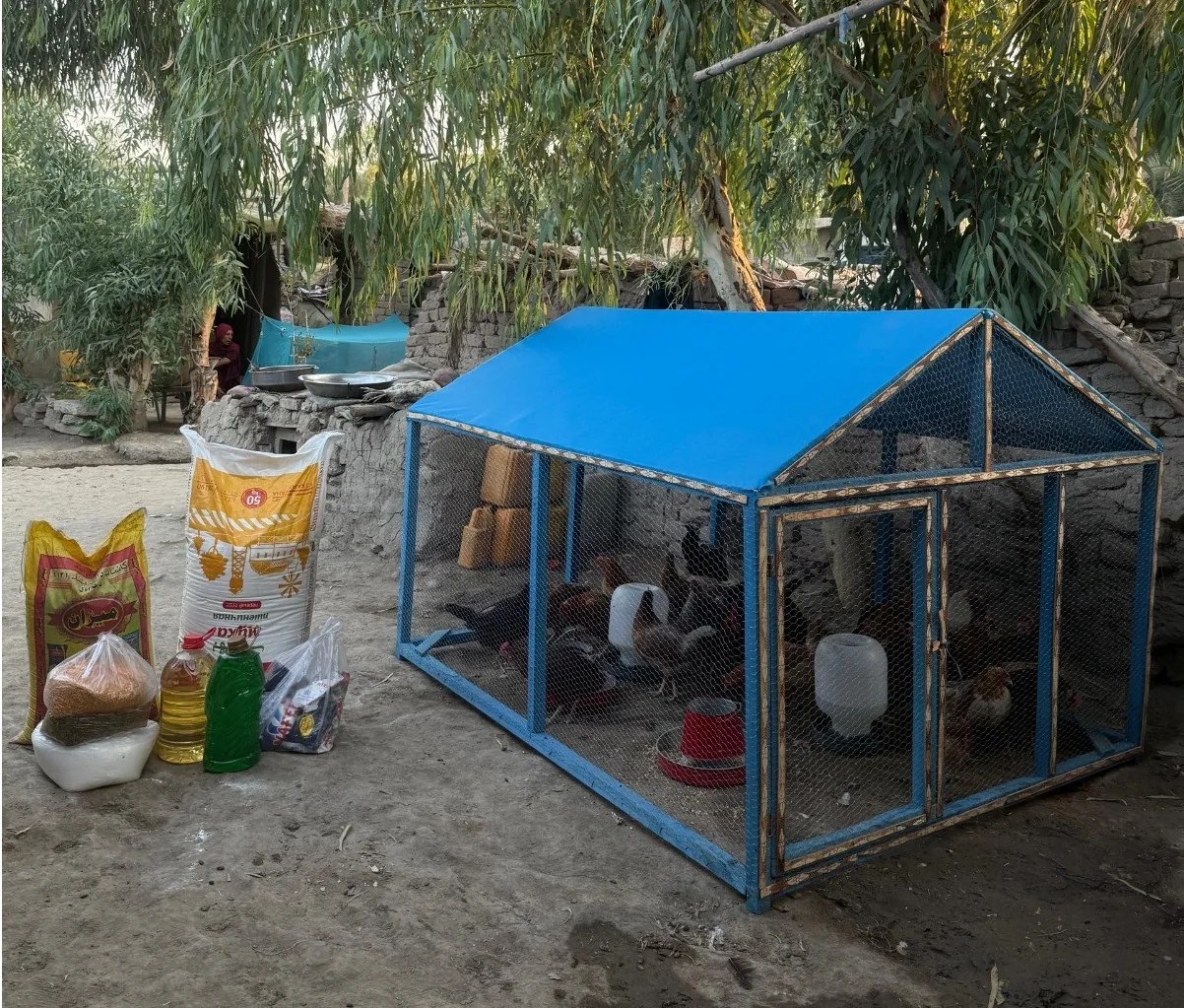 Poultry farming projects for poor families